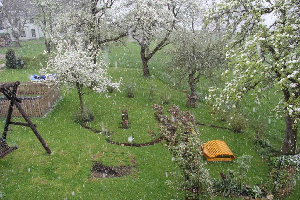 Ferienwohnungen Schoebringer Weyregg Buitenkant foto